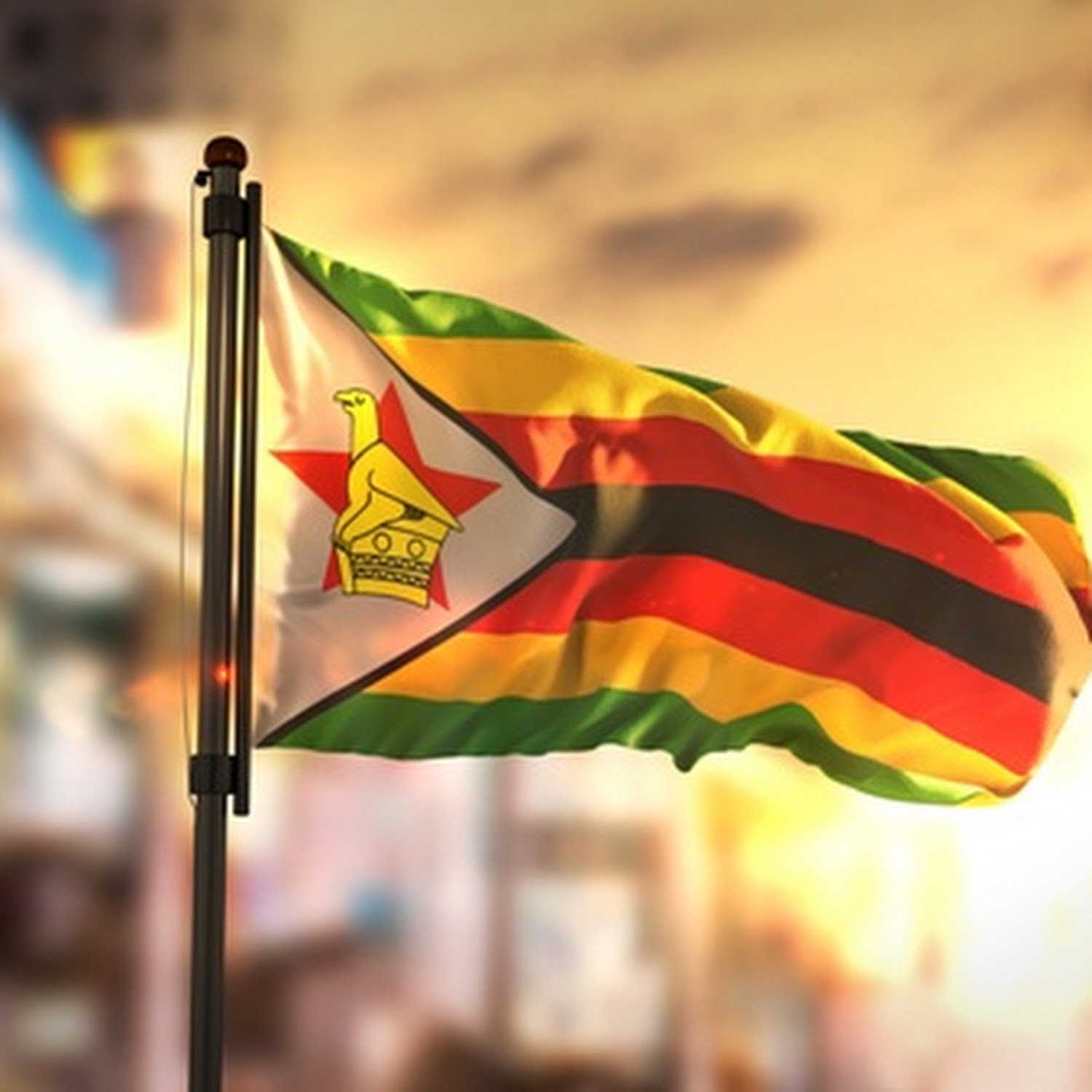 Zimbabwe in Brief